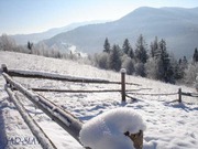 Новый год в Карпатах