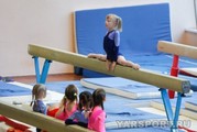 ДЮСШ по спортивной гимнастике